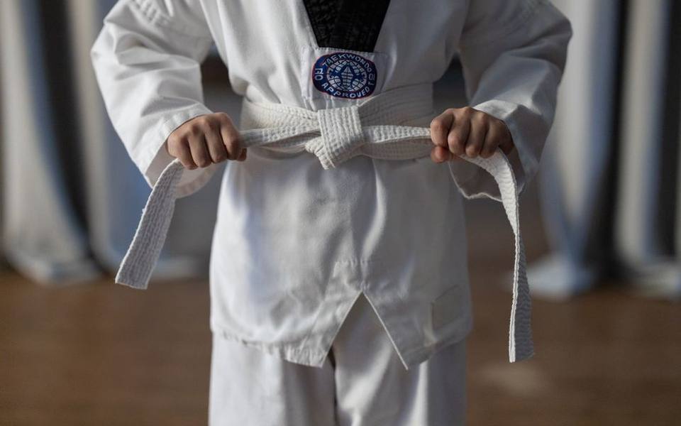 Inside the Little Ninjas Curriculum