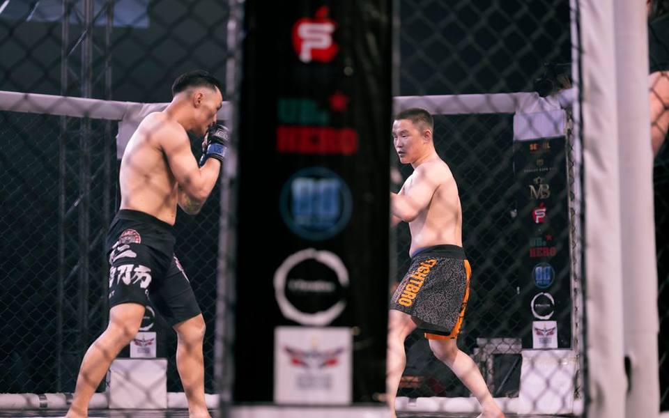 Defining the modern mixed martial artist